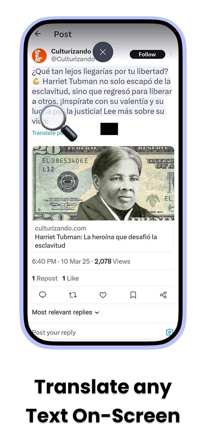 Translation magnifier feature in Native app